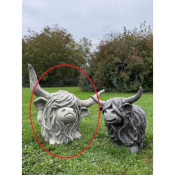 Westhighland Rind Archie